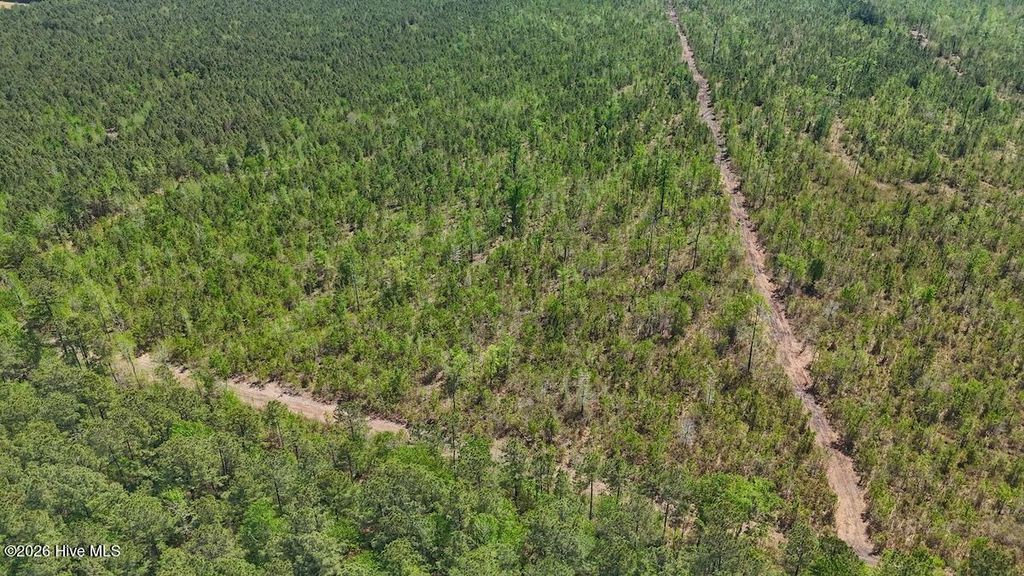 Photo of 0 Guinea Mill Road, Ernul, NC 28527 (MLS # 100568826)