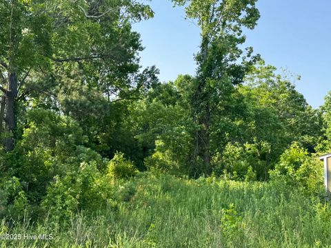 Vacant Land For Sale - E Council Road<br/> Robersonville, NC 27871