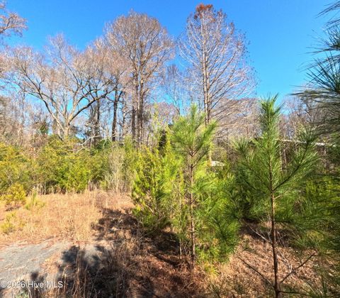 Tiny photo for 1375 Piney Green Road, Jacksonville, NC 28546 (MLS # 100566708)
