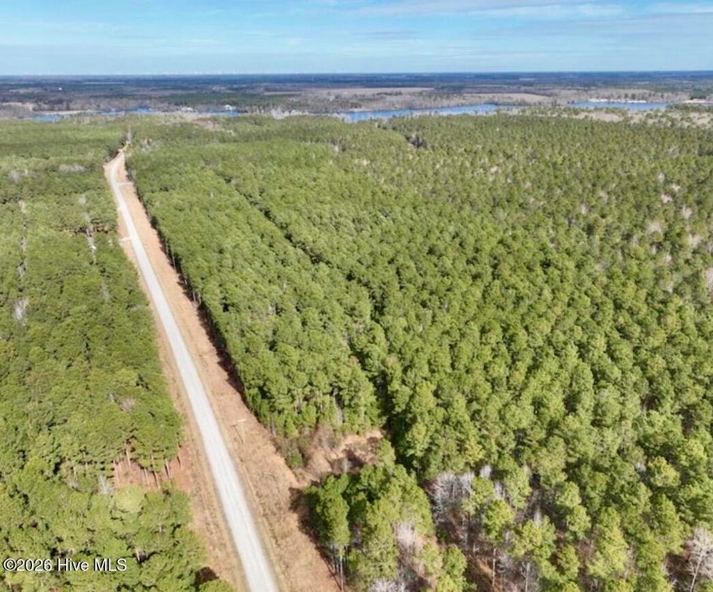 Photo of 448 Batts Island Road, Edenton, NC 27932 (MLS # 100559166)