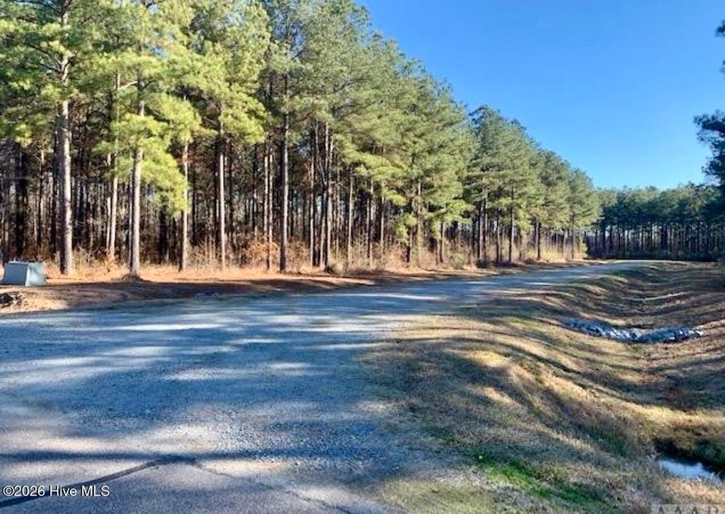 Photo of 448 Batts Island Road, Edenton, NC 27932 (MLS # 100559166)