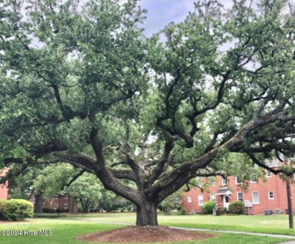 Photo of 2940 Oleander Drive #D-16, Wilmington, NC 28403 (MLS # 100476139)