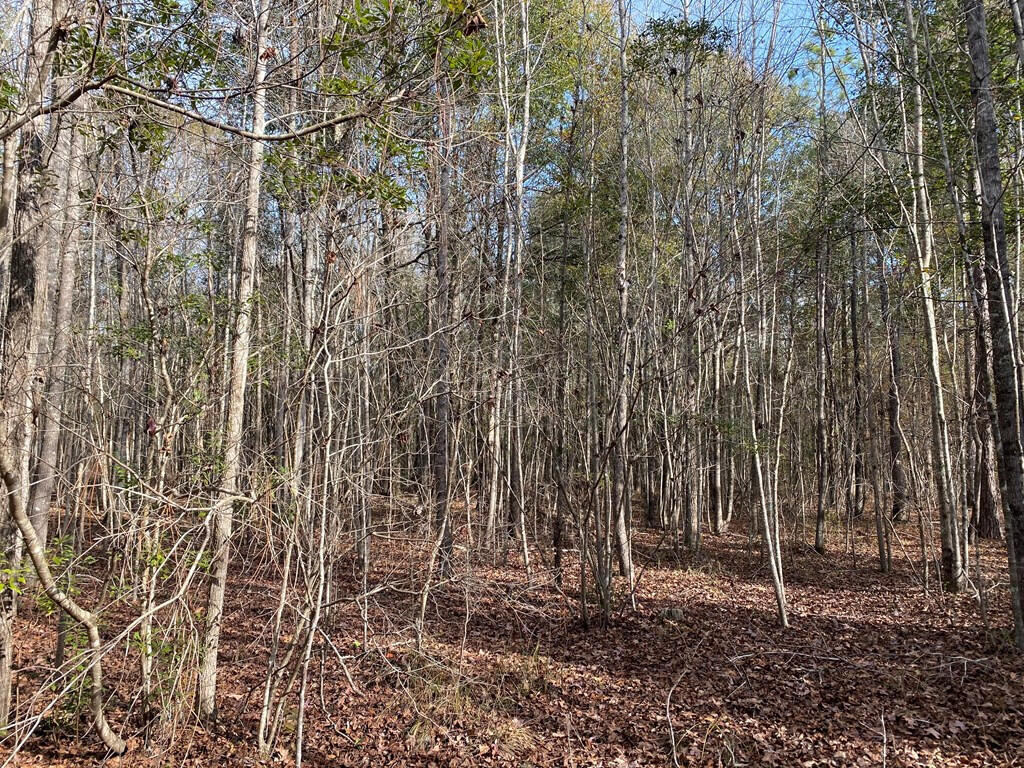Photo of 14 Robin Road, Swainsboro, GA 30401 (MLS # 100579814)