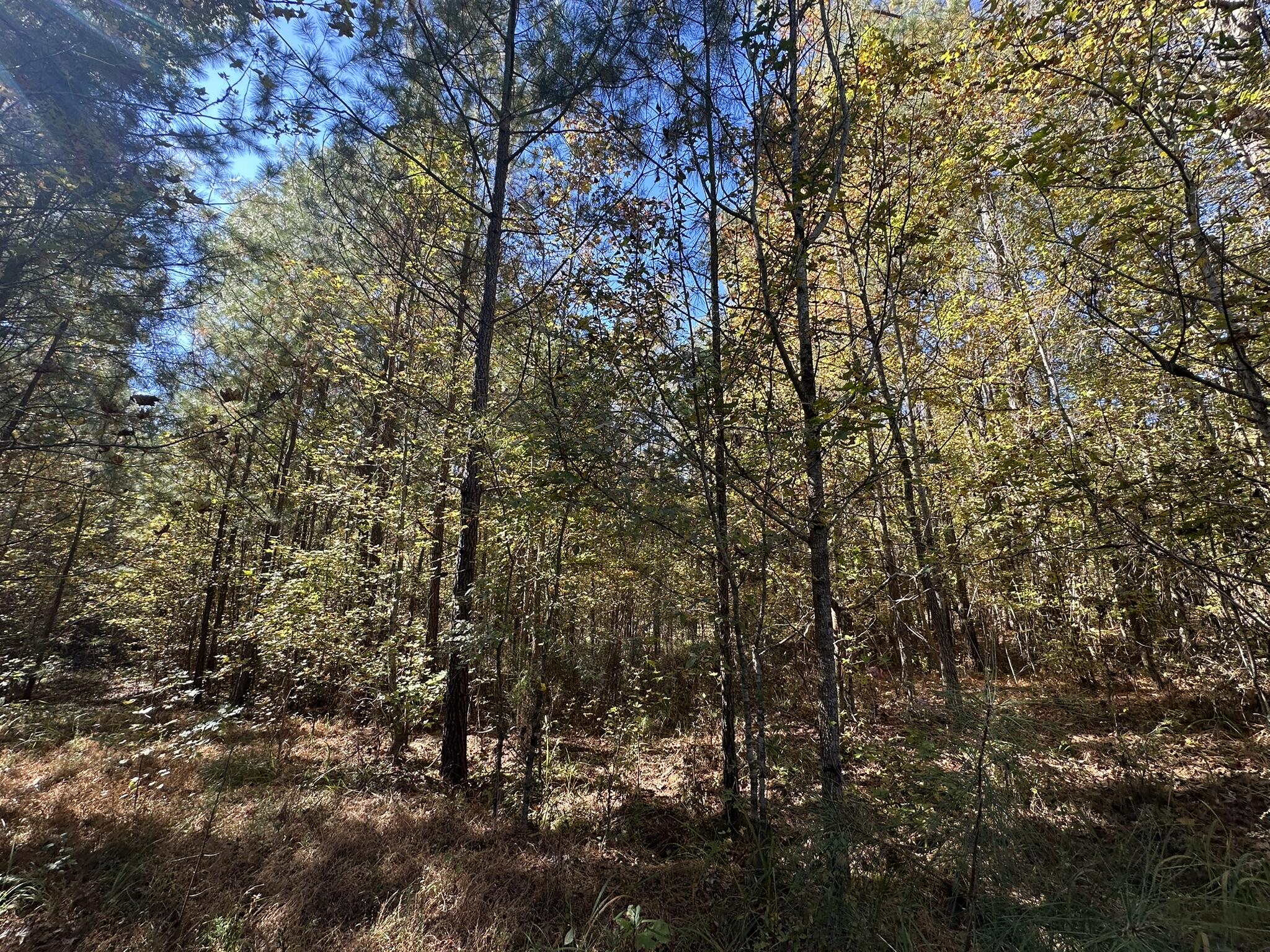 Lot 27&28 Lakeshore Estates Drive