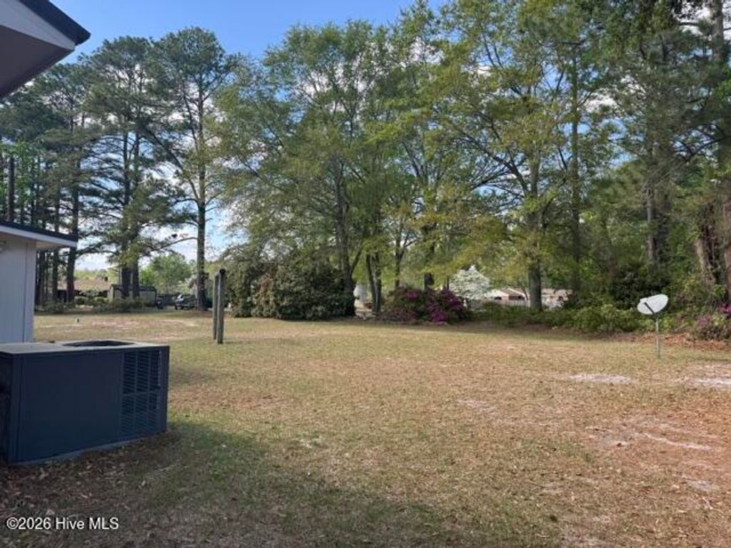 Photo of 204 Lane Street, Maxton, NC 28364 (MLS # 100566903)