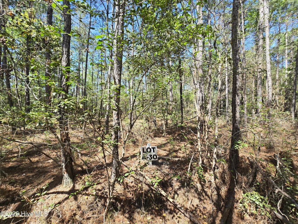 Photo of 30 Renee Drive, Hampstead, NC 28443 (MLS # 100567055)