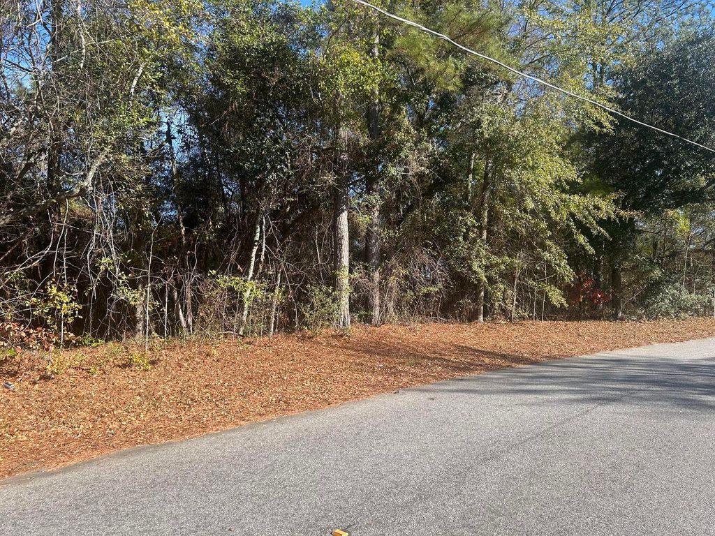 Photo of 0 Fairway Drive, New Ellenton, SC 29809 (MLS # 550258)