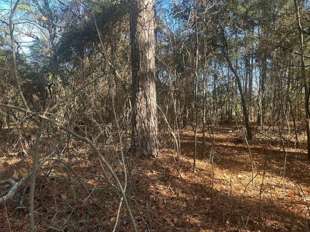 Photo of 0 Fairway Drive, New Ellenton, SC 29809 (MLS # 550258)