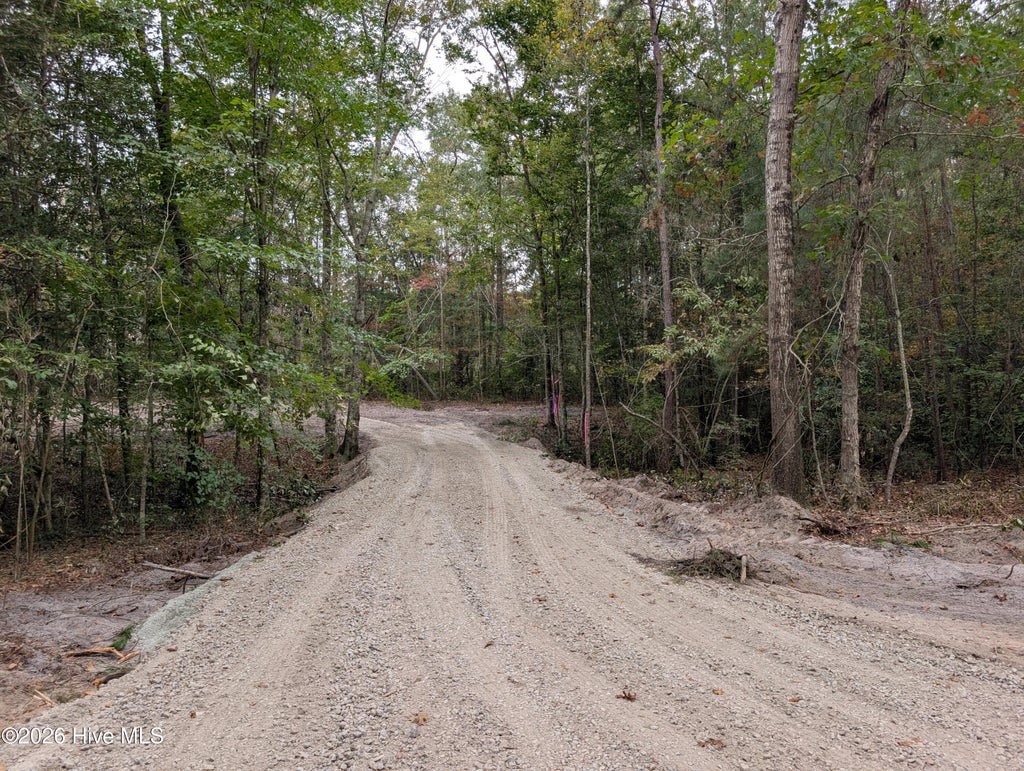 Photo of 0 Muhammad Road, Jacksonville, NC 28540 (MLS # 100613122)