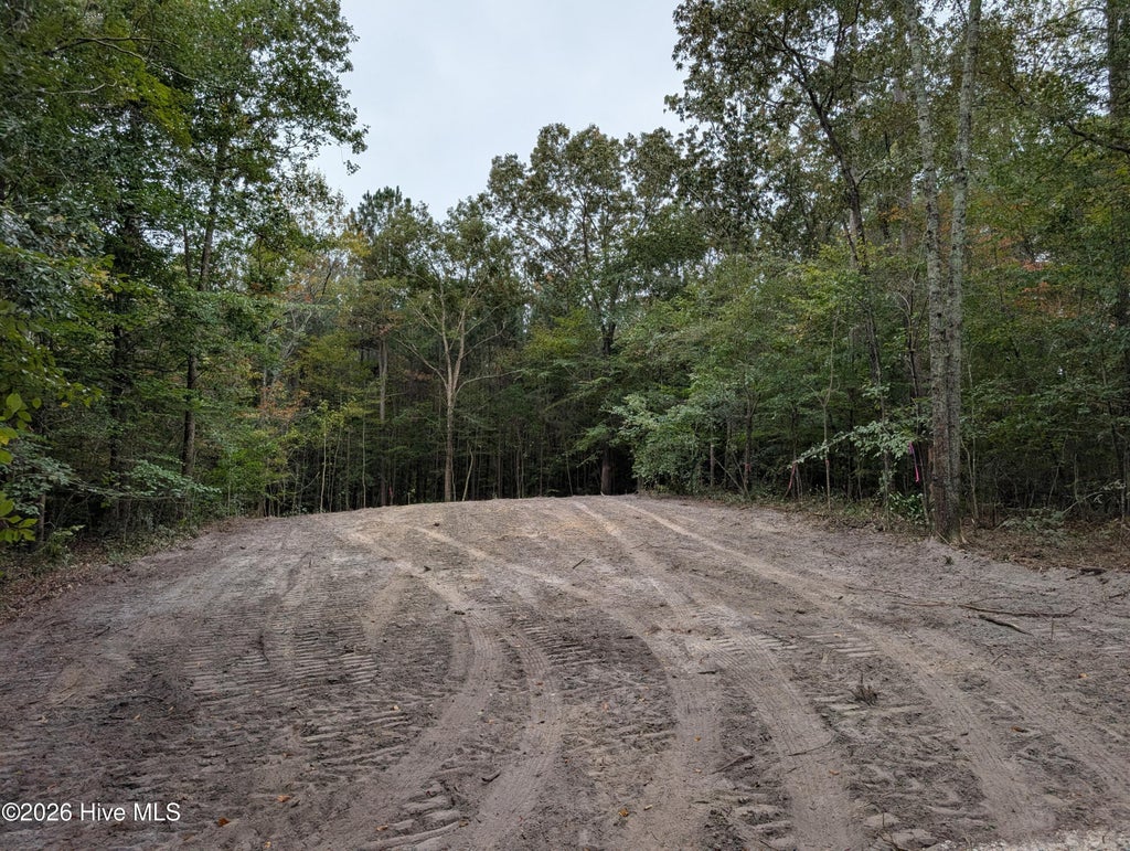Photo of 0 Muhammad Road, Jacksonville, NC 28540 (MLS # 100613122)