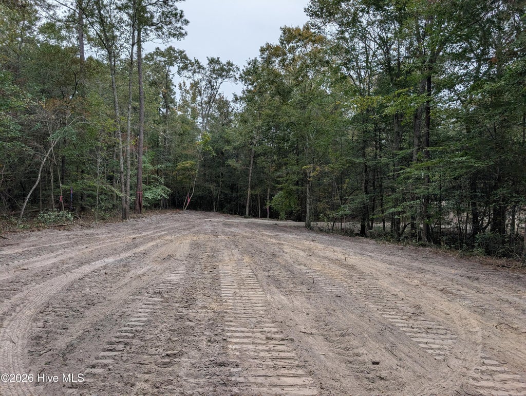 Photo of 0 Muhammad Road, Jacksonville, NC 28540 (MLS # 100613122)