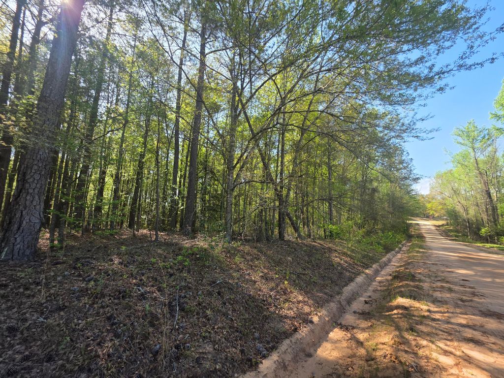 Photo of Tract A Georgia 102, Gibson, GA 30810 (MLS # 554000)