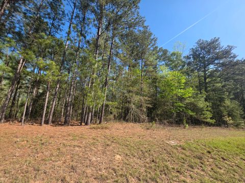 Vacant Land For Sale - TRACT A Georgia 102<br/> Gibson, GA 30810