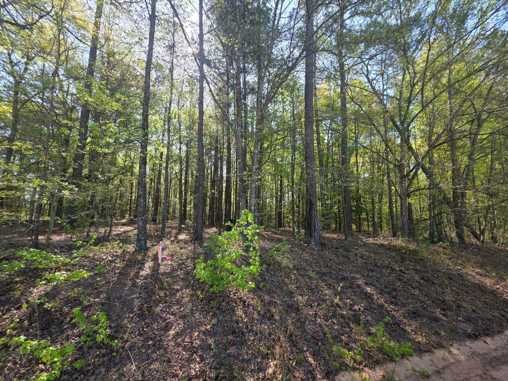 Photo of Tract A Georgia 102, Gibson, GA 30810 (MLS # 554000)