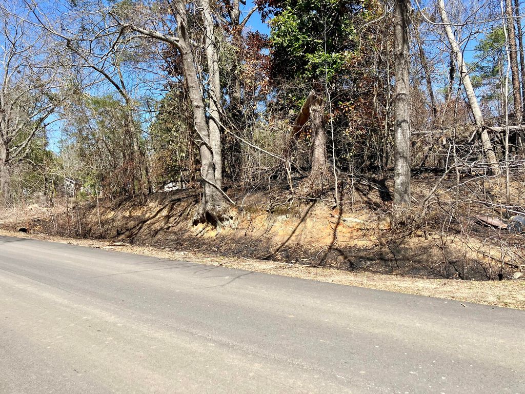 Photo of 321 Railroad Avenue, Grovetown, GA 30813 (MLS # 555573)