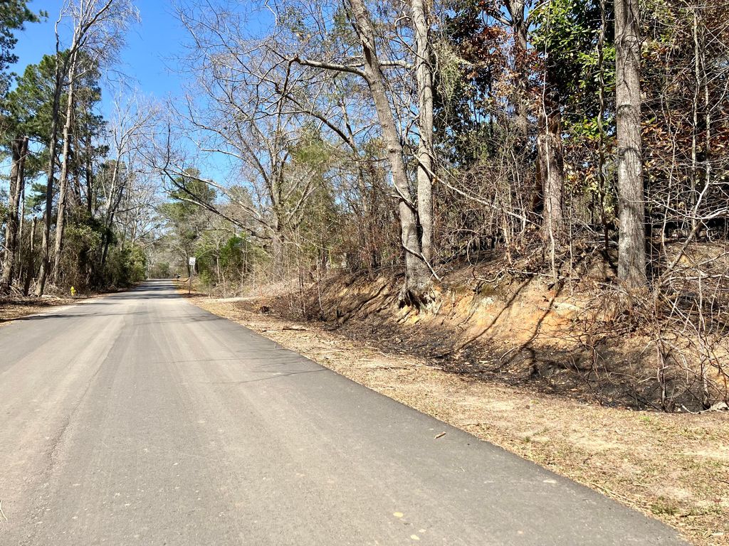 Photo of 321 Railroad Avenue, Grovetown, GA 30813 (MLS # 555573)