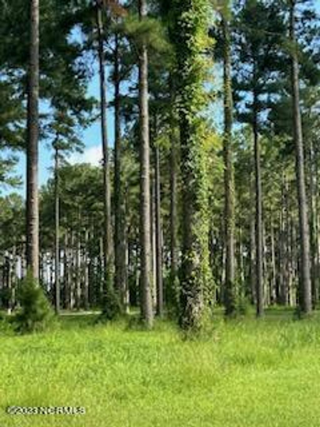 Photo of 96 278 Dawson Creek Blvd, Oriental, NC 28571 (MLS # 100399871)