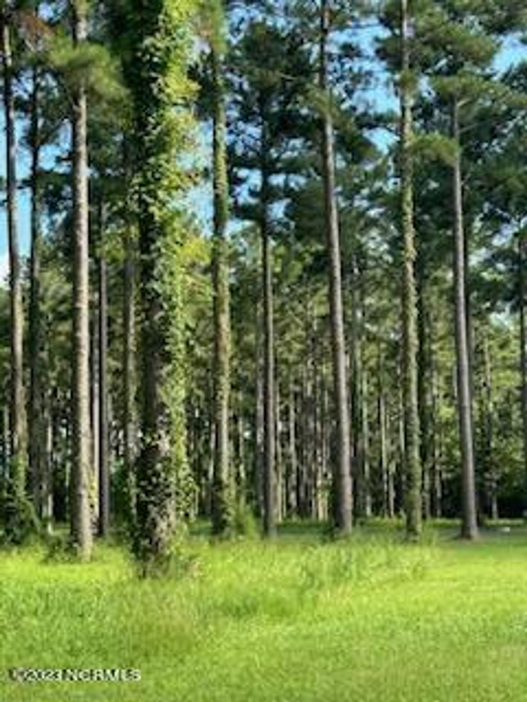 Photo of 96 278 Dawson Creek Blvd, Oriental, NC 28571 (MLS # 100399871)