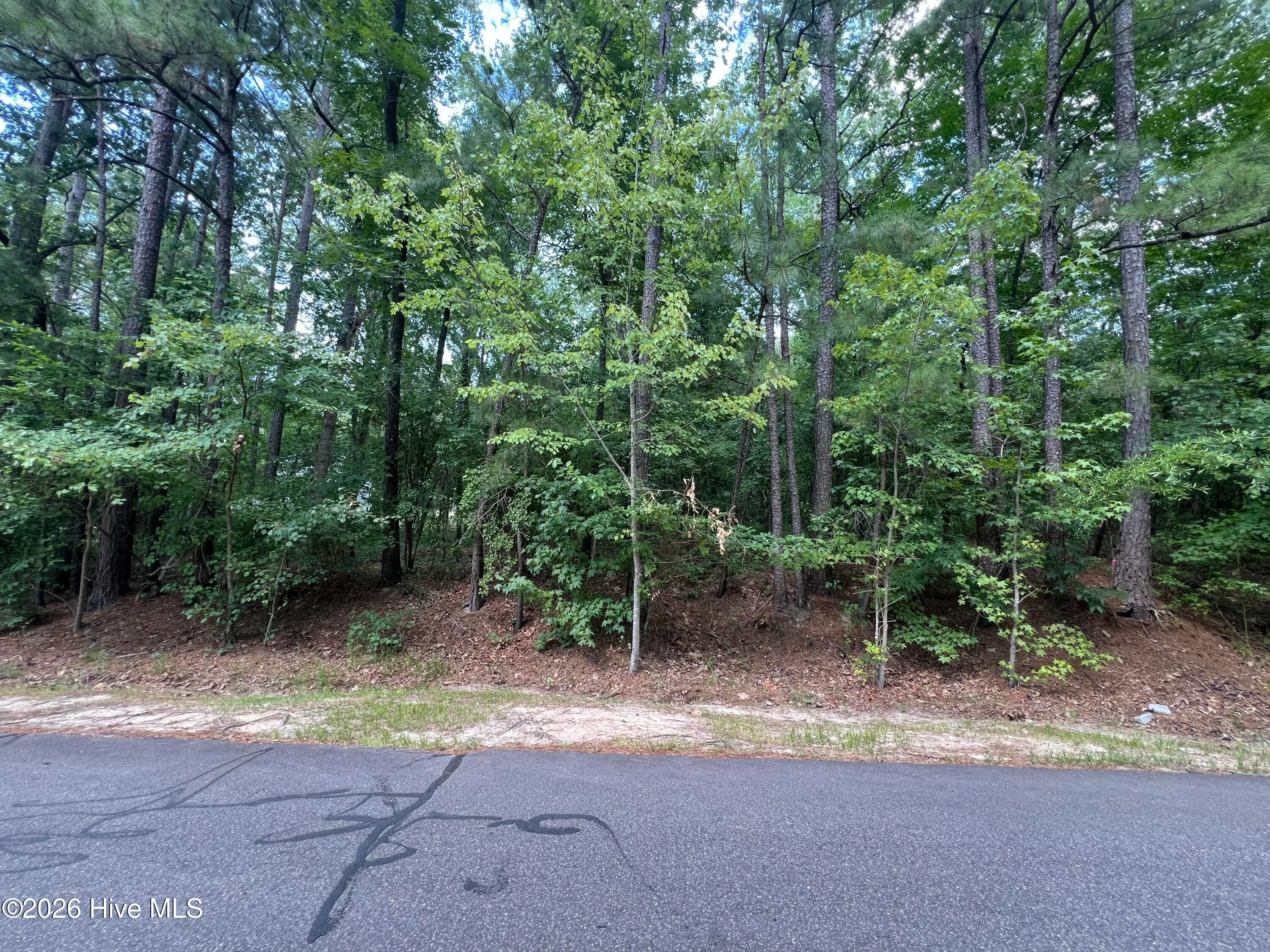 307 Thimbleberry Drive