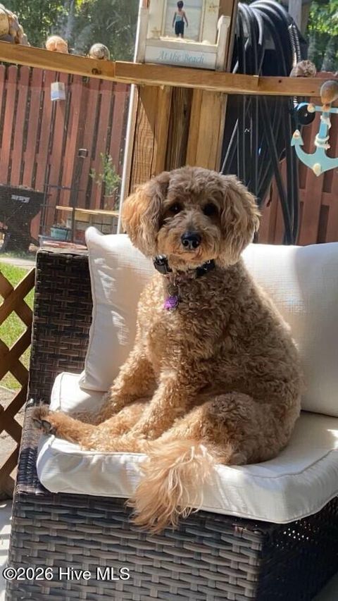 Tiny photo for 408 N Belvedere Drive, Hampstead, NC 28443 (MLS # 100549183)