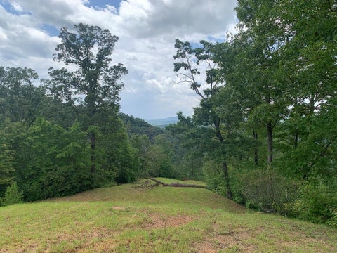 Vacant Land For Sale - 44 & 45 Silo View Lane<br/> Marble, NC 28905