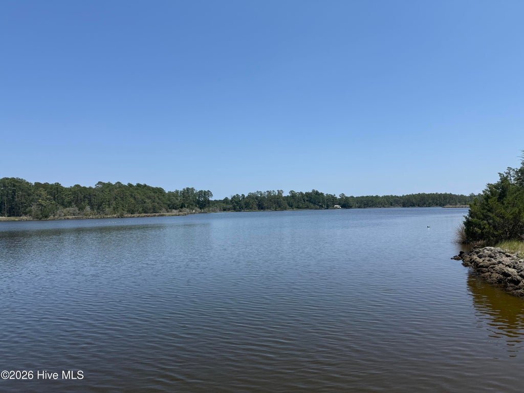 Photo of 1021 Vandemere Creek Drive, Vandemere, NC 28587 (MLS # 100605117)