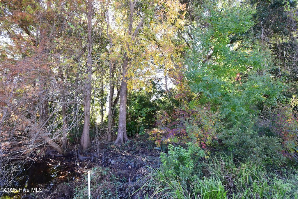 Photo of 246 Shoreline Drive, New Bern, NC 28562 (MLS # 100539603)