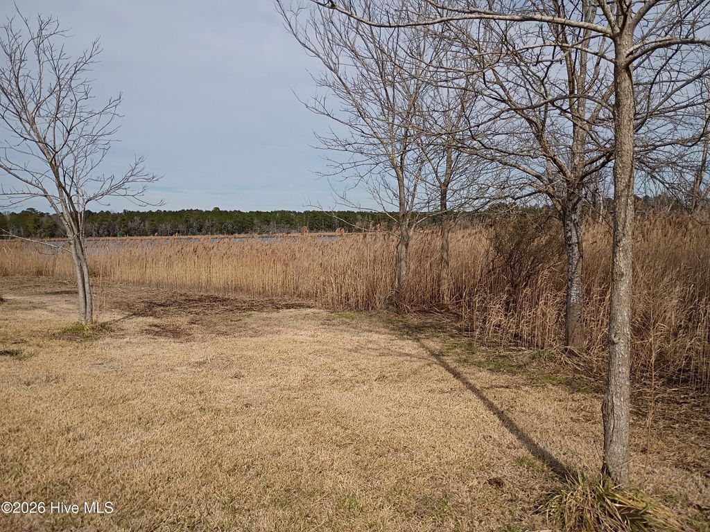 Photo of 9624 S 0 6th Street Street, Aurora, NC 27806 (MLS # 100576402)