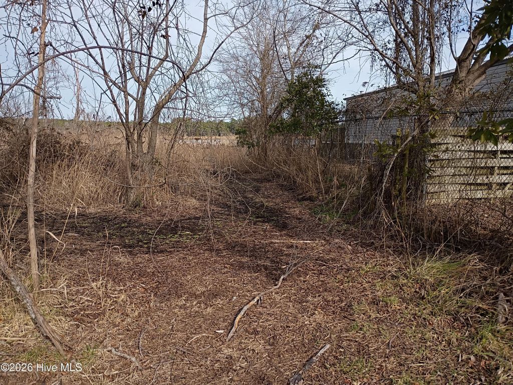 Photo of 9624 S 0 6th Street Street, Aurora, NC 27806 (MLS # 100576402)