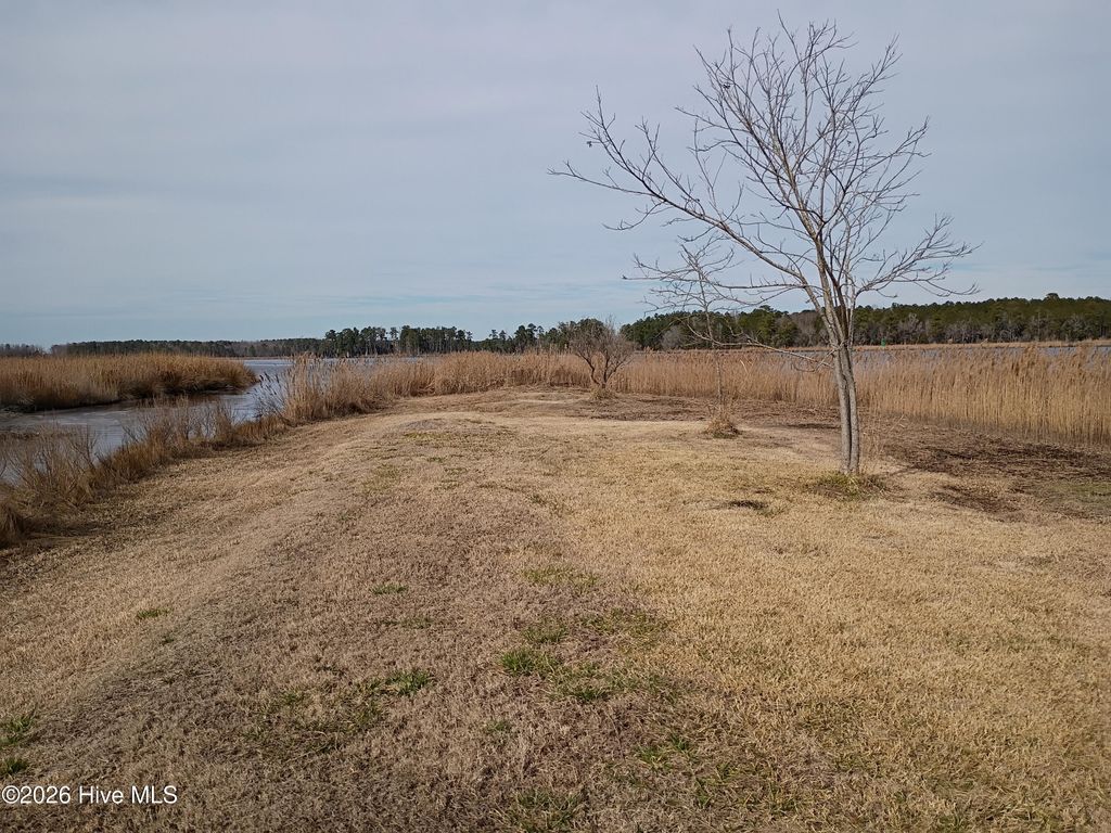 Photo of 9624 S 0 6th Street Street, Aurora, NC 27806 (MLS # 100576402)