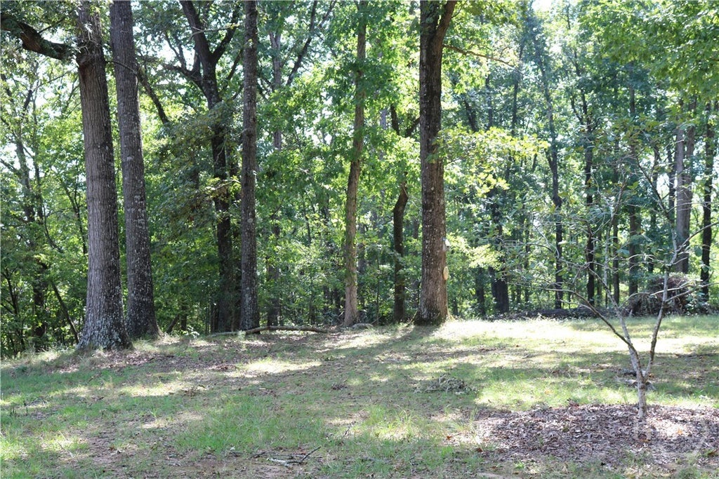 Photo of 2096 Roy Woods Road, Comer, GA 30629 (MLS # CL364806)
