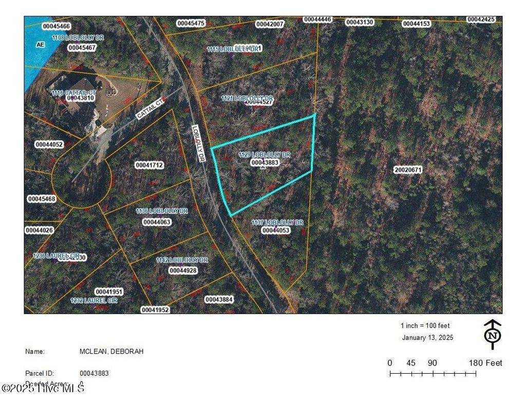 Photo of 1129 Loblolly Drive, Vass, NC 28394 (MLS # 100487137)