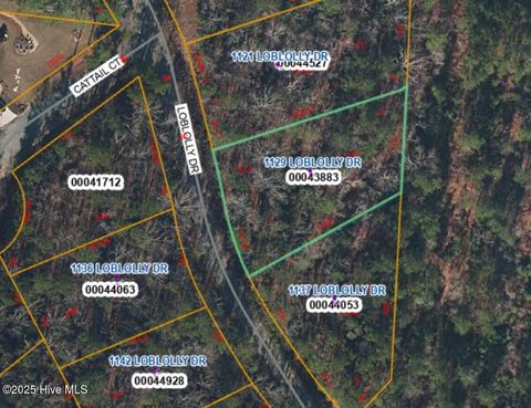 Vacant Land For Sale - 1129 Loblolly Drive<br/> Vass, NC 28394