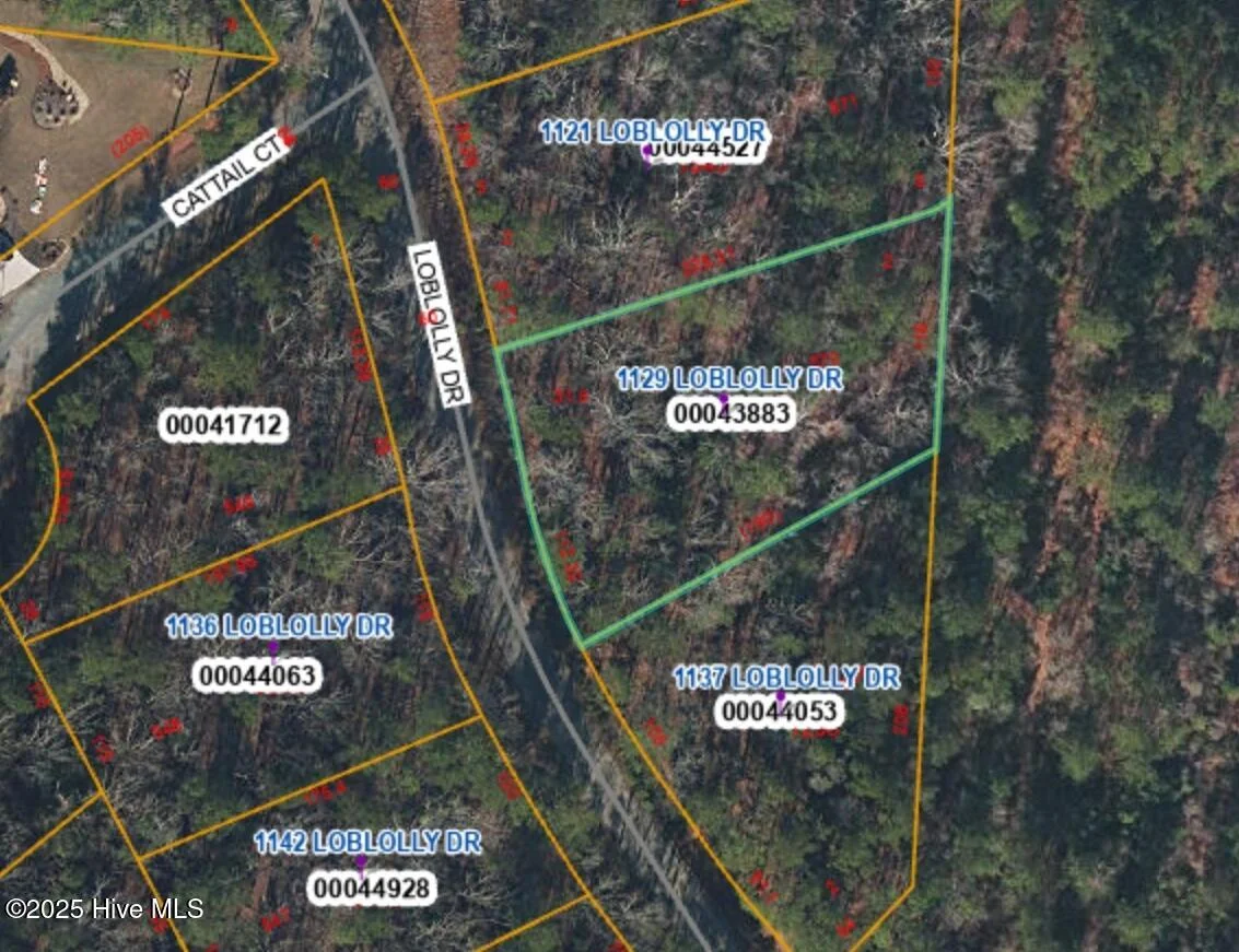 1129 Loblolly Drive