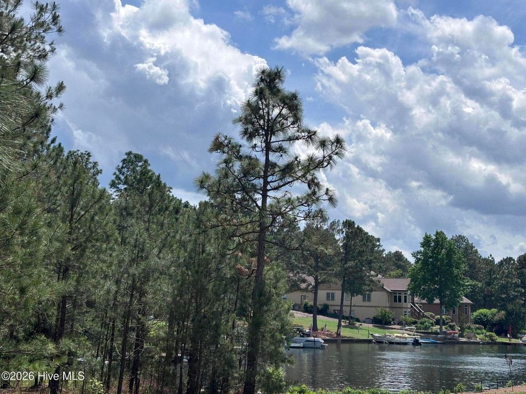 Photo of 449 Longleaf Drive, West End, NC 27376 (MLS # 100577831)