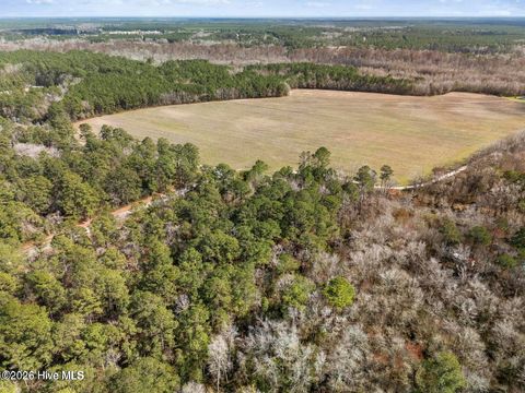 Tiny photo for 2 Page Road, Burgaw, NC 28425 (MLS # 100573224)