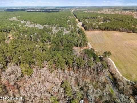 Tiny photo for 2 Page Road, Burgaw, NC 28425 (MLS # 100573224)