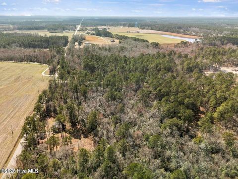 Tiny photo for 2 Page Road, Burgaw, NC 28425 (MLS # 100573224)