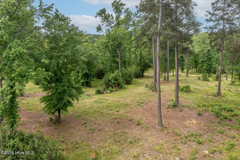 Photo of 755 Louisville Road, Grovetown, GA 30813 (MLS # 100573205)