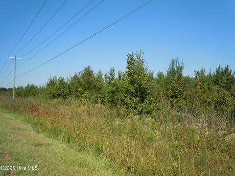 Vacant Land For Sale - TBD Near 10700 Andrew Jackson Highway<br/> Fair Bluff, NC 28439