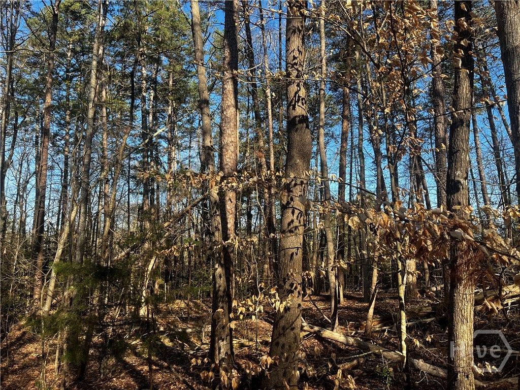 Photo of 0 Alpine way, Lavonia, GA 30553 (MLS # CL354770)