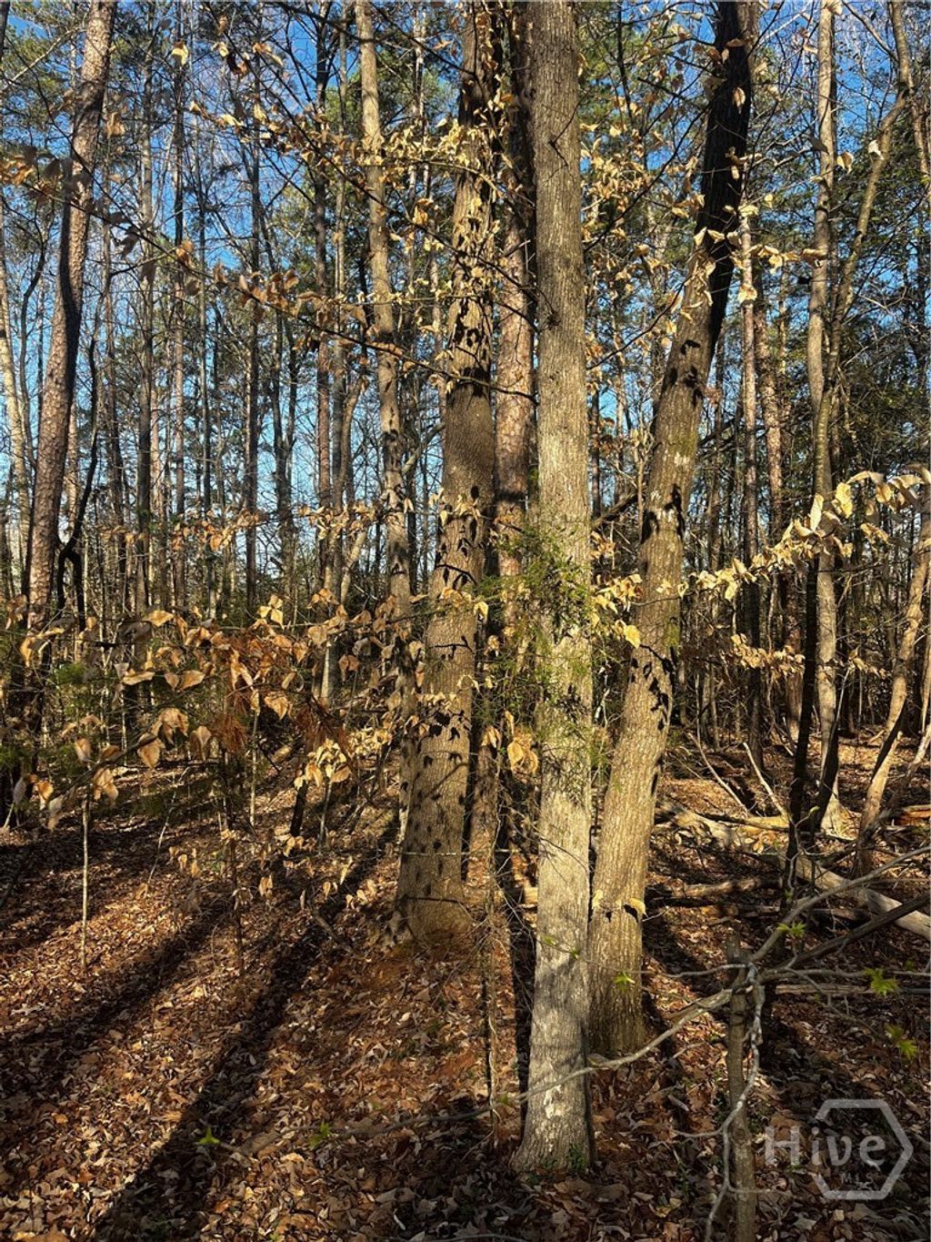 Photo of 0 Alpine way, Lavonia, GA 30553 (MLS # CL354770)