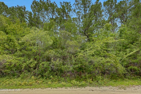 Tiny photo for 12 Green Acres Drive, Hampstead, NC 28443 (MLS # 100590200)