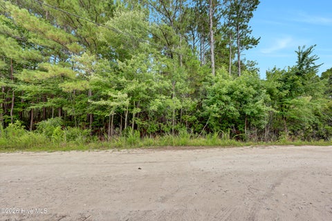 Tiny photo for 12 Green Acres Drive, Hampstead, NC 28443 (MLS # 100590200)