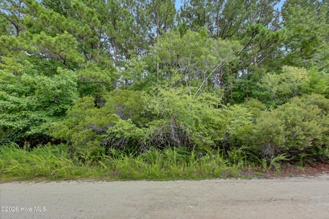 Tiny photo for 12 Green Acres Drive, Hampstead, NC 28443 (MLS # 100590200)