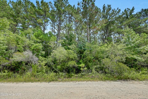 Tiny photo for 12 Green Acres Drive, Hampstead, NC 28443 (MLS # 100590200)
