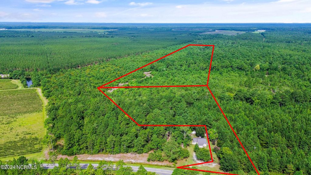 Photo of 1 Lizzie Henry Road, Ivanhoe, NC 28447 (MLS # 100551625)