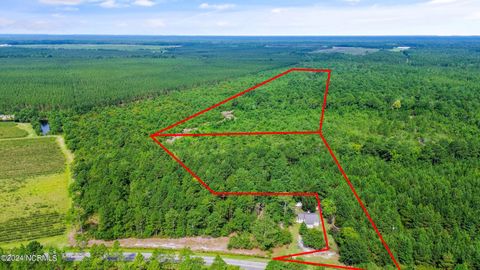 Photo of 1 Lizzie Henry Road, Ivanhoe, NC 28447 (MLS # 100551625)