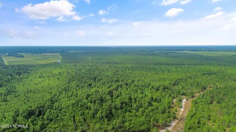 Tiny photo for 1 Lizzie Henry Road, Ivanhoe, NC 28447 (MLS # 100551625)