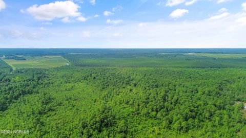 Tiny photo for 1 Lizzie Henry Road, Ivanhoe, NC 28447 (MLS # 100551625)